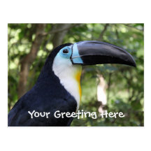 Ett härligt Toucan foto Vykort