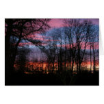 Evening Sky In Denmark Greeting Cards