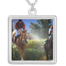 Eventing hästhalsband