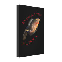 Everglades Florida Sträckt Canvastryck