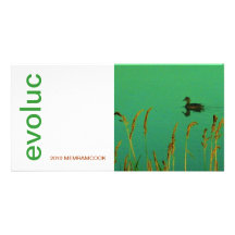 EVOLUC 2010 MEMRAMCOOK ANPASSINGSBARA FOTOKORT