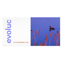 EVOLUC 2010 MEMRAMCOOK FOTOKORT