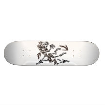 EVOLUTION SKATEBOARD DECKS