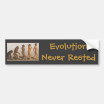 Evolution som vilas aldrig bildekaler