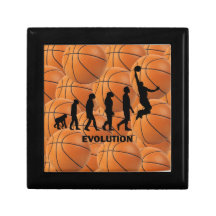 evolutionbasket smyckeskrin