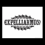Expelliarus! affischer