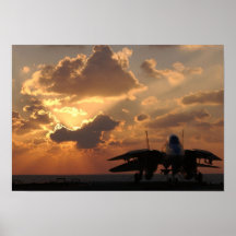 F--14DTomcat Print