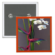 Fågel-av-Paradis Orchids Knapp Med Nål