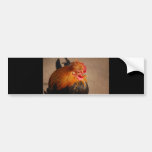 FÅGEL PHOT för LANTGÅRD för TUPP Red-male-chicken1 Bildekaler