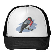 Fågeldomherre Baseball Hat