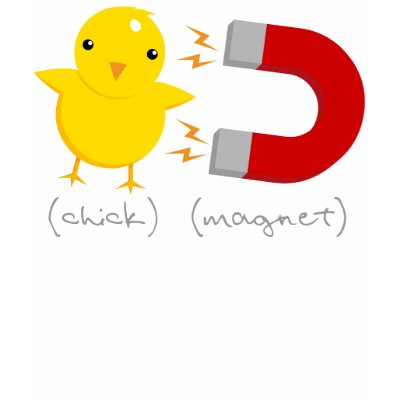 Fågelungemagnet! från VectorSmith
