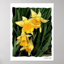 Fairyland Print