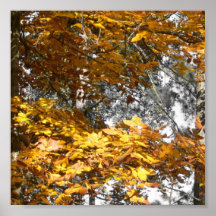 Fall2009 Affischer