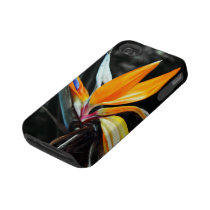 Fall för buse för blommaiPhone 4 Tough Iphone 4 Överdrag