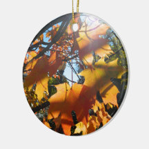 Fall Leaves in The Light and Shadows Ornaments