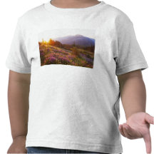 Fält av lupine- och OSberg på T-shirts