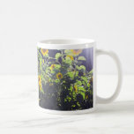 Fält av solrosor i blommar kaffe koppar