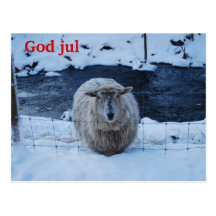 Fåret Fjun julkort Vykort