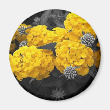 Färgad blommamagnet kylskåps magneter