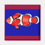 Färgglad fisk magneter