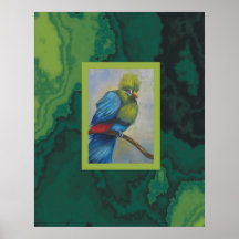 färgrik fågel posters
