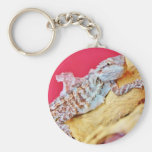 Färgrik skäggig drake nyckel ring