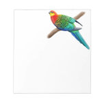 Färgrik western Rosella papegojaanteckningsblock