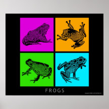Färgrika grodor posters