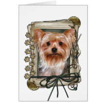 Fars dag - stentassar - Yorkshire Terrier Kort