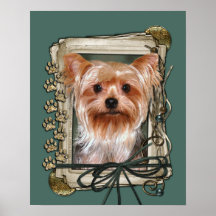 Fars dag - stentassar - Yorkshire Terrier Posters