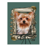 Fars dag - stentassar - Yorkshire Terrier Vykort