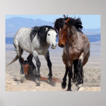 Fasta & rasande print