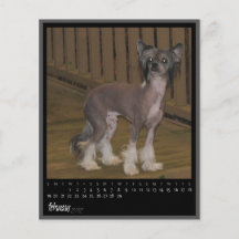 februari 2012 kalender flygblad