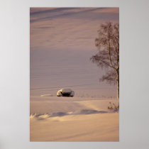 Februari morgon #1