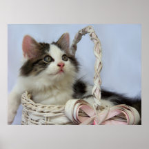 Februari Wild kattungetryck Posters