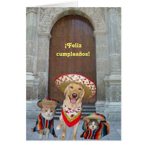 ¡ Feliz cumpleaños! Hälsnings Kort
