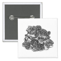 Feng Shui kanin B&W Pins