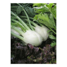 Fennel och grönsallat foton