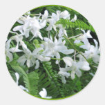 Ferns och blommaklistermärke