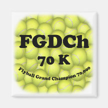 FGDCh 70K, Flyball ledar- mästare RefrigeratorMagn Magneter