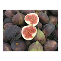Figs Fotontryck