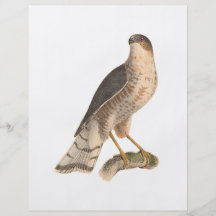 Figur 2 flygblad designs