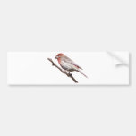 Finch på en gren bildekal