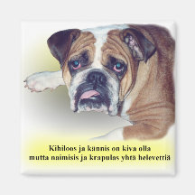 Finlandssvensk bakrusbulldogg magnet för kylskåp