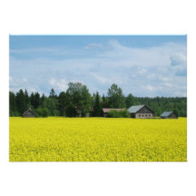 Finlandssvensk bygdinbjudan/meddelande