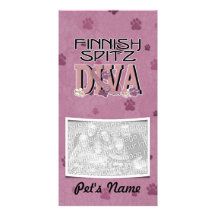 Finlandssvensk SpitzDIVA Foto Kort