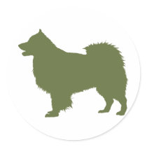 Finlandssvenska Lapphund
