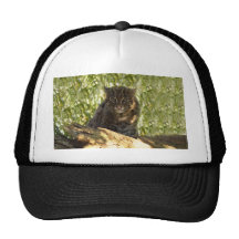 FishingCat006 Trucker Kepsar