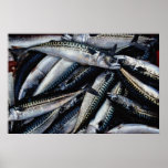 Fisk för hummerbete, Prince Edward Island, Canad Print