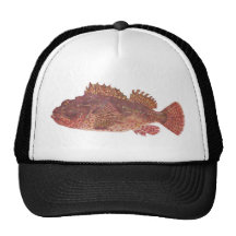 Fisk - röd stentorsk - Scorpaenacardinalis Trucker Kepsar